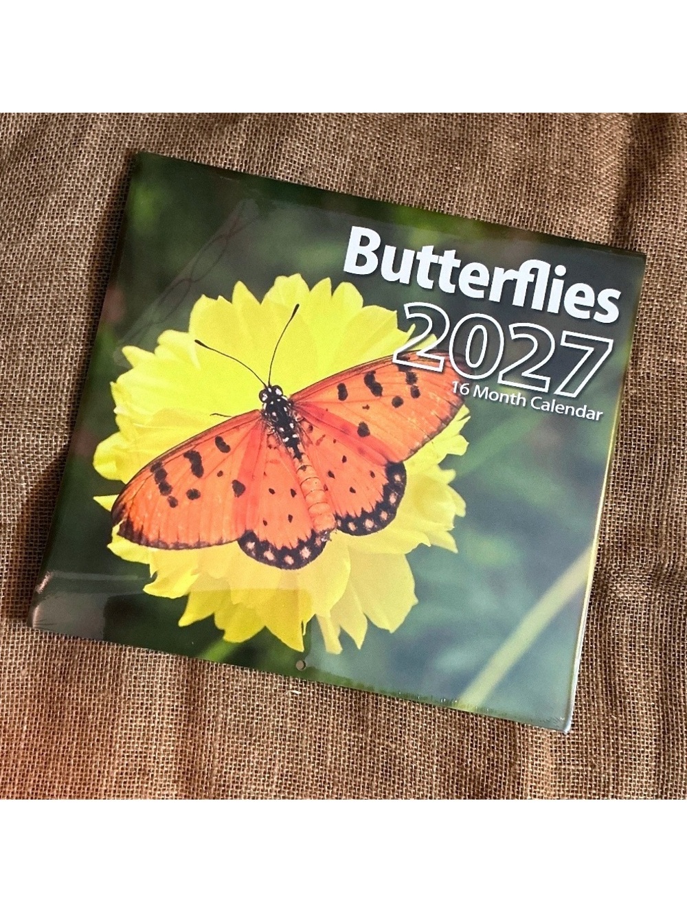 2027 16 Month Butterfly Wall Calendar